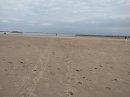 Plage de la Grande-Motte